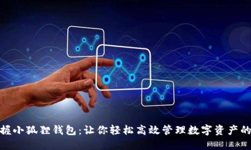 : 掌握小狐狸钱包：让你轻松高效管理数字资产的秘密