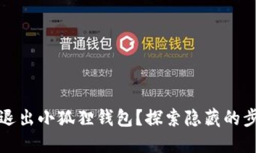 如何安全退出小狐狸钱包？探索隐藏的步骤与窍门