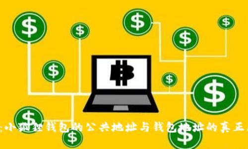 揭秘：小狐狸钱包的公共地址与钱包地址的真正区别！