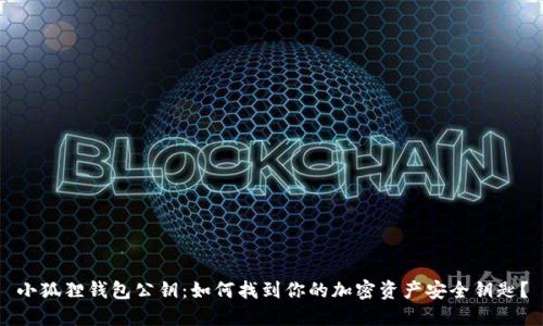小狐狸钱包公钥：如何找到你的加密资产安全钥匙？