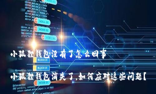 小狐狸钱包没有了怎么回事

小狐狸钱包消失了，如何应对这些问题？