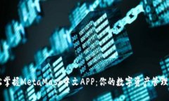 轻松掌握MetaMask中文APP：你
