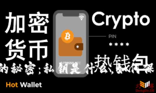 比特币钱包的秘密：私钥是什么，如何保护你的资产？