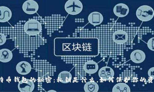 比特币钱包的秘密：私钥是什么，如何保护你的资产？