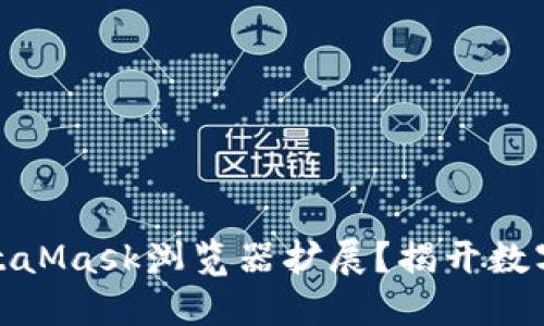 如何轻松安装MetaMask浏览器扩展？揭开数字钱包的神秘面纱