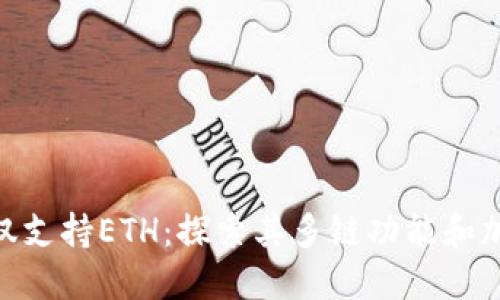 MetaMask并非仅仅支持ETH：探索其多链功能和加密世界的无限可能