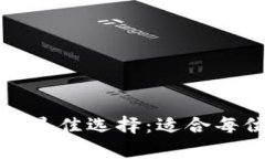 探索艾达币存储的最佳选
