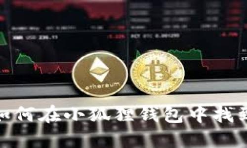 揭开神秘面纱：如何在小狐狸钱包中找到中本聪的灵感？