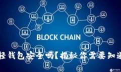 比特币轻钱包安全吗？揭
