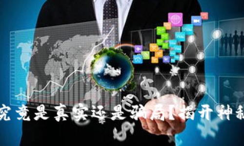  小狐狸钱包究竟是真实还是骗局？揭开神秘面纱的真相！