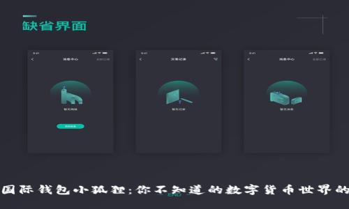 揭秘国际钱包小狐狸：你不知道的数字货币世界的秘密