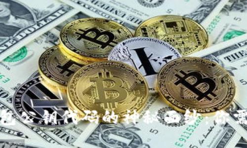 揭开比特币钱包公钥代码的神秘面纱：你需要知道的一切