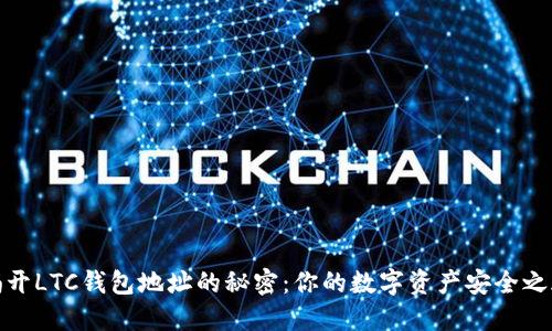 揭开LTC钱包地址的秘密：你的数字资产安全之旅