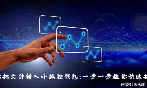 轻松把文件转入小狐狸钱包：一步一步教你快速搞定！