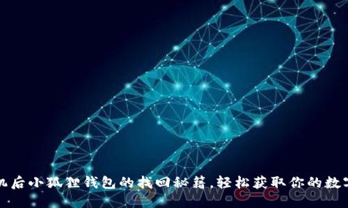 换手机后小狐狸钱包的找回秘籍，轻松获取你的数字资产
