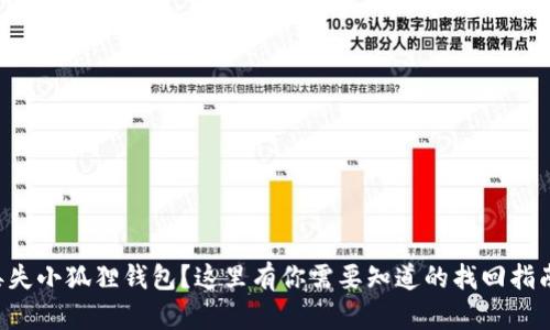 丢失小狐狸钱包？这里有你需要知道的找回指南！