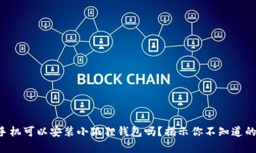 苹果手机可以安装小狐狸钱包吗？揭示你不知道的真相！