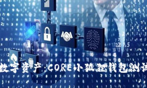 解锁你的数字资产：CORE小狐狸钱包测试完全指南