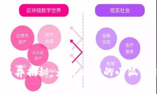小狐狸钱包版本差异揭秘：为什么你的小狐狸钱包与别人不同？