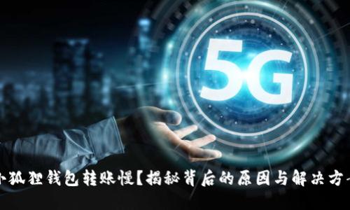 小狐狸钱包转账慢？揭秘背后的原因与解决方案
