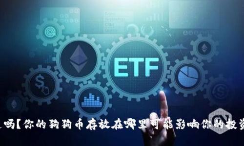 你知道吗？你的狗狗币存放在哪里可能影响你的投资安全！