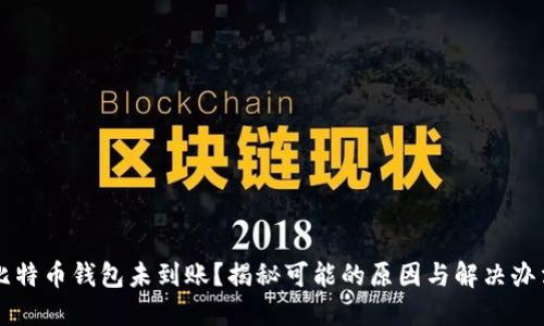 比特币钱包未到账？揭秘可能的原因与解决办法