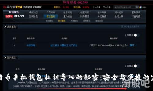 揭秘比特币手机钱包私钥导入的秘密：安全与便捷的完美平衡