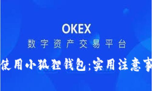 如何安全使用小狐狸钱包：实用注意事项与技巧