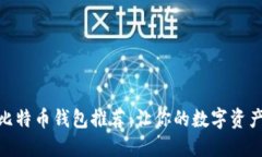 最安全的比特币钱包推荐