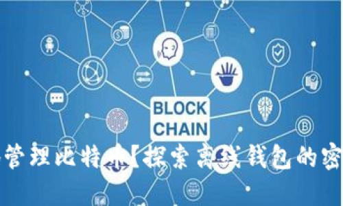 如何安全地管理比特币？探索离线钱包的密钥保护技巧