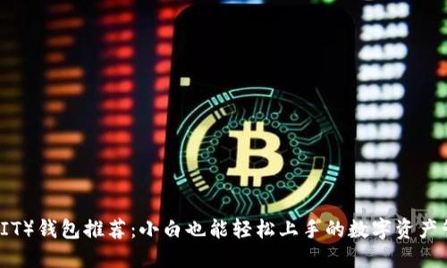 屎币（SHIT）钱包推荐：小白也能轻松上手的数字资产管理工具
