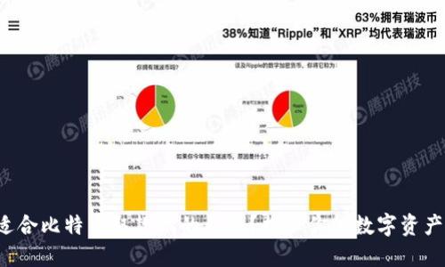 如何选择适合比特币取款机的钱包？揭示你的数字资产管理秘密！