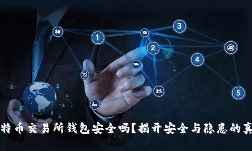 比特币交易所钱包安全吗？揭开安全与隐患的真相