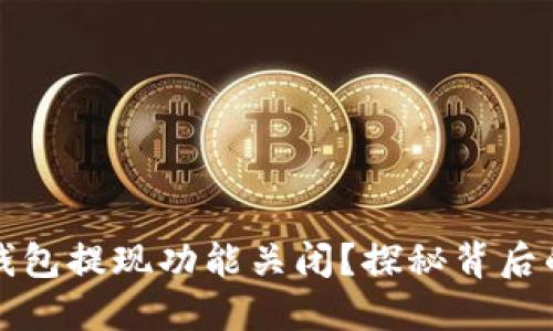为何以太坊钱包提现功能关闭？探秘背后的秘密与影响