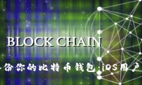 如何安全备份你的比特币钱包：iOS用户的终极指南