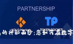 揭开联邦Token钱包的神秘面