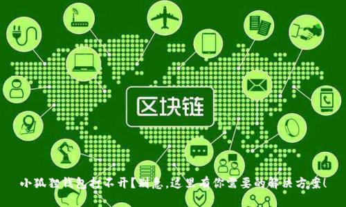 小狐狸钱包打不开？别急，这里有你需要的解决方案！