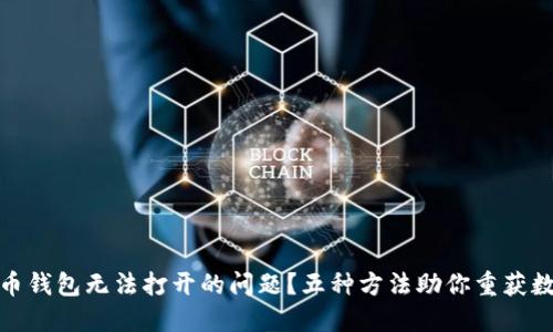 如何解决比特币钱包无法打开的问题？五种方法助你重获数字资产的安全