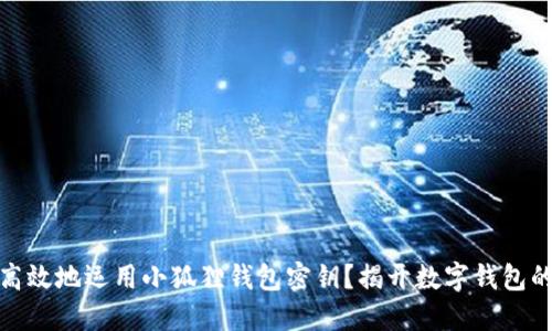 如何安全高效地运用小狐狸钱包密钥？揭开数字钱包的神秘面纱