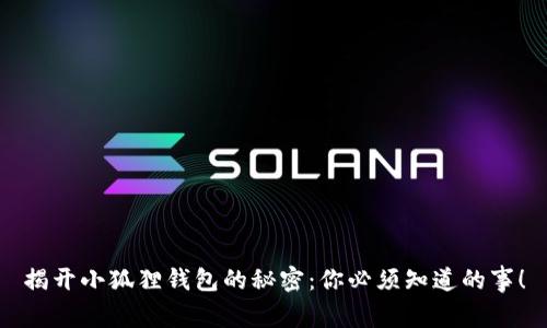 揭开小狐狸钱包的秘密：你必须知道的事！