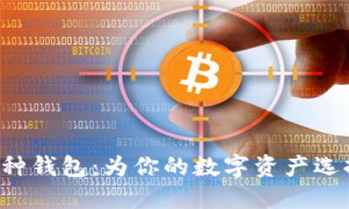 揭秘比特币的9种钱包：为你的数字资产选择最佳保护方案