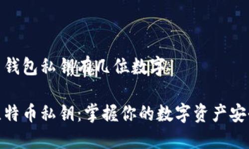比特币钱包私钥有几位数字

探秘比特币私钥：掌握你的数字资产安全之道