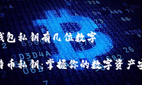 比特币钱包私钥有几位数字

探秘比特币私钥：掌握你的数字资产安全之道