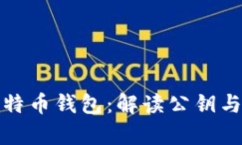 深入了解比特币钱包：解读公钥与私钥的奥秘