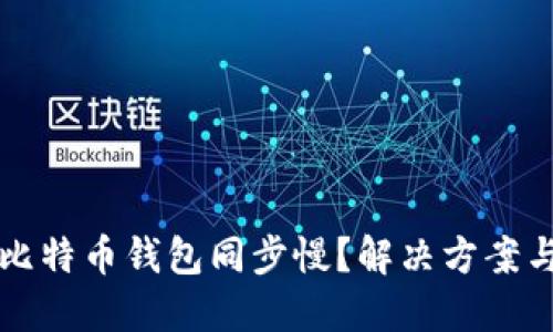 为何比特币钱包同步慢？解决方案与建议