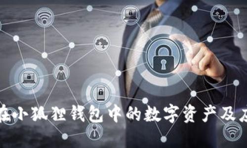 如何保护您在小狐狸钱包中的数字资产及应对被盗风险