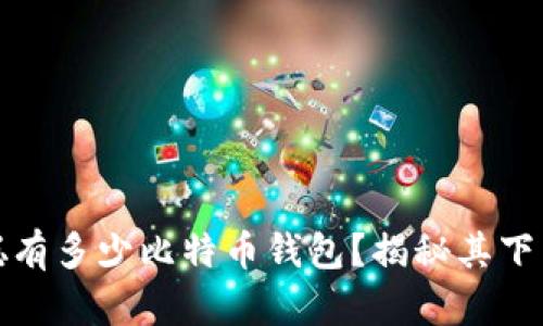 中本聪有多少比特币钱包？揭秘其下藏匿处