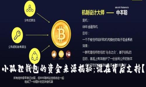 小狐狸钱包的资金来源揭秘：谁在背后支持？