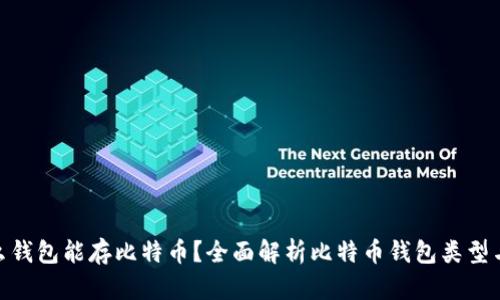 : 什么钱包能存比特币？全面解析比特币钱包类型与选择