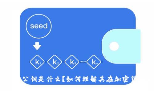 比特币钱包的公钥是什么？如何理解其在加密货币中的作用？